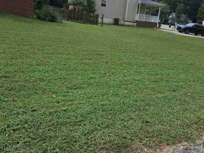 Lawn care service in Holly Springs, 27540