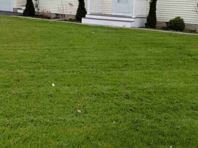 Lawn care service in Rochester, 14624