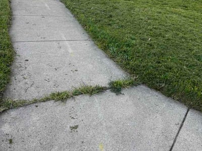 Lawn care service in Woodstock, 60098