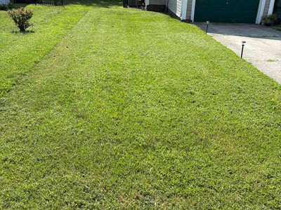 Lawn care service in Norfolk, 23504