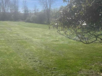 Lawn care service in Portsmouth, 03801