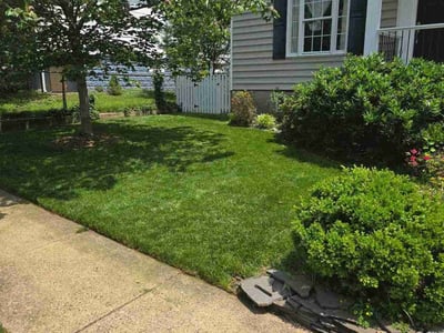 Lawn care service in Arlington, 22201