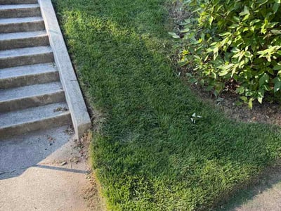 Lawn care service in Towson, 21286