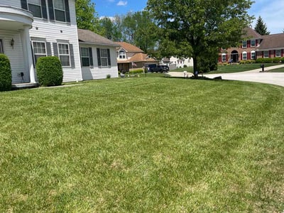 Lawn care service in Clayton, 45315