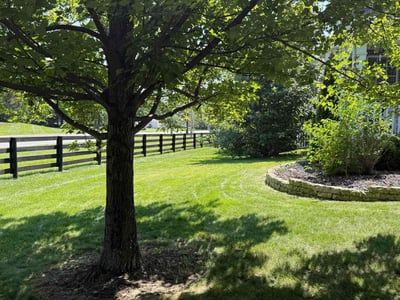 Lawn care service in Grove City, 43123
