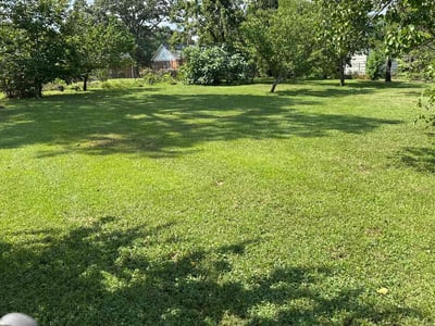 Lawn care service in Spartanburg, 29301