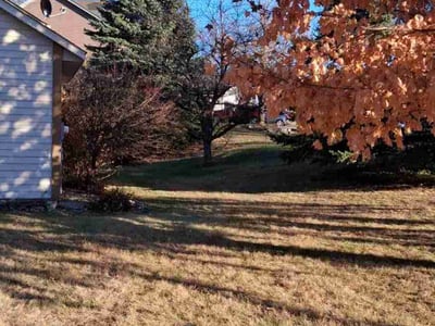 Lawn care service in Minneapolis, 55446
