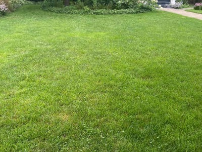 Lawn care service in Evanston, 60202