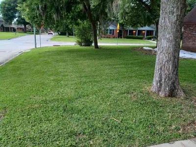 Lawn care service in Houston, 77061