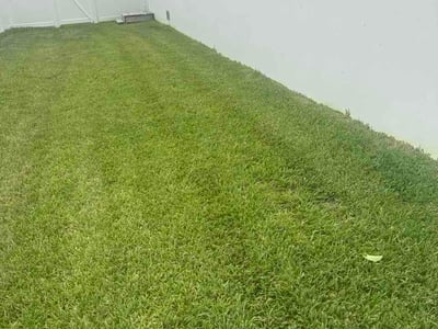 Lawn care service in Tampa, 33611
