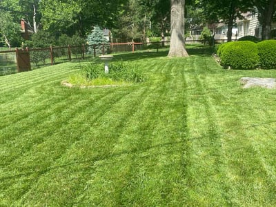 Lawn care service in Overland Park, 66207