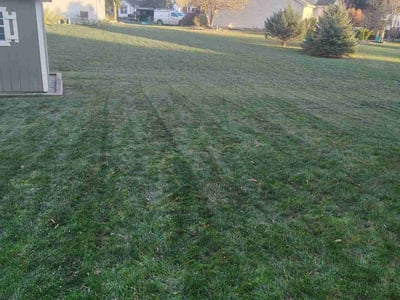 Lawn care service in Galloway, 43119