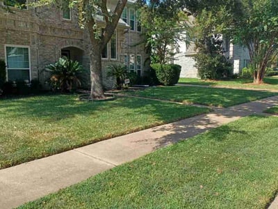 Lawn care service in Katy, 77450