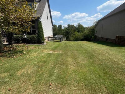 Lawn care service in Spring Hill, 37174