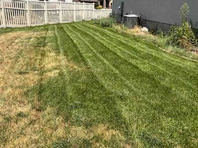 Lawn care service in South Weber, 84405