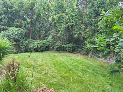 Lawn care service in Cincinnati, 45248