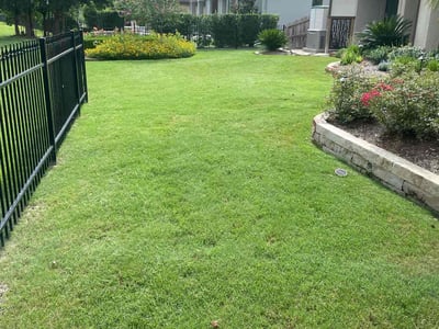 Lawn care service in Spring, 77389