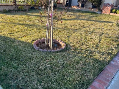Lawn care service in La Habra, 90631