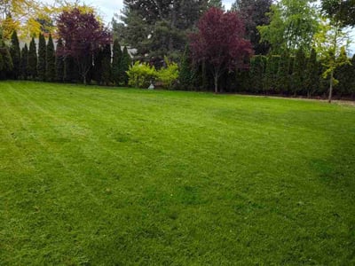 Lawn care service in Spokane, 99206