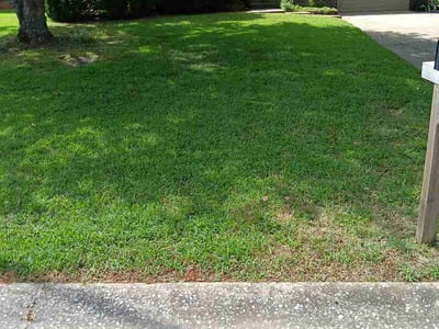 Lawn care service in Clarksville, 37040