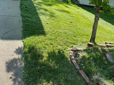 Lawn care service in Bellevue, 68005