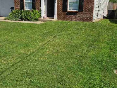 Lawn care service in La Vergne, 37086