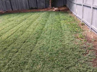 Lawn care service in Boulder, 80304