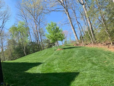 Lawn care service in Wake Forest, 27587
