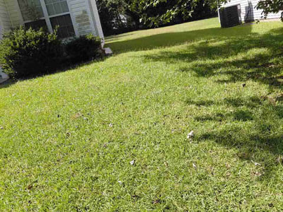 Lawn care service in Stonecrest, 30038