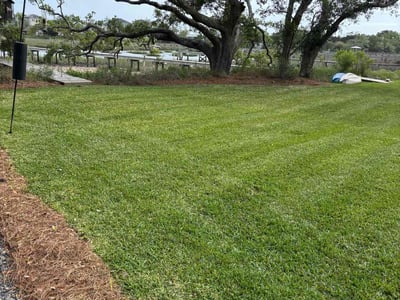 Lawn care service in Charleston, 29412
