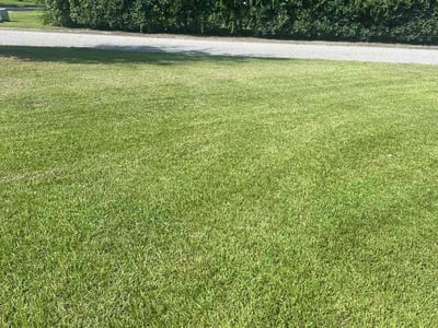 Lawn care service in Myrtle Beach, 29577