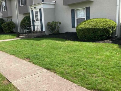 Lawn care service in Columbus, 43229