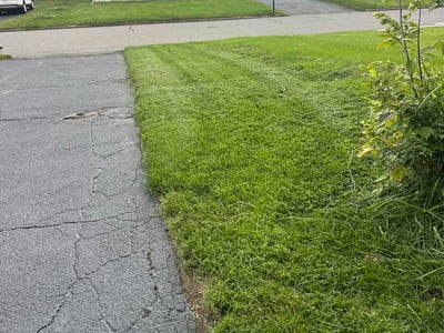 Lawn care service in Easton, 18040