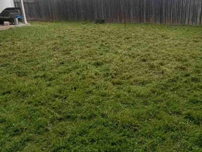 Lawn care service in Austin, 78748