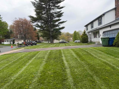 Lawn care service in Windsor, 06095