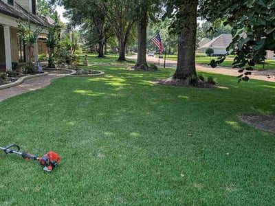 Lawn care service in Collierville, 38017