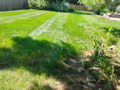 Lawn care service in Joliet, 60431