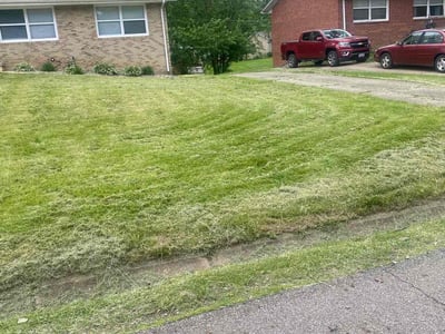 Lawn care service in Massillon, 44646