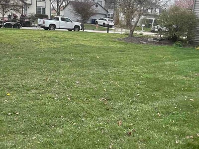 Lawn care service in Hilliard, 43026