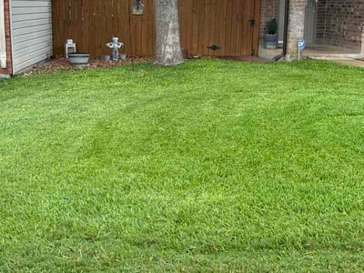 Lawn care service in San Antonio, 78251