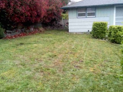Lawn care service in Renton, 98057