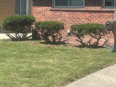 Lawn care service in Taylor, 48180