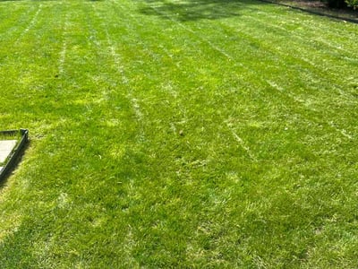 Lawn care service in Virginia Beach, 23456