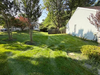 Lawn care service in Ellicott City, 21042