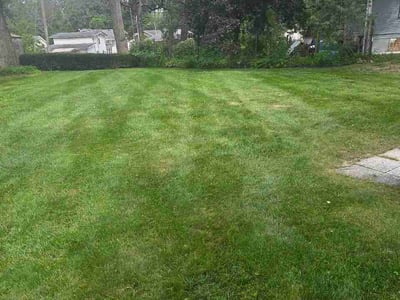 Lawn care service in Cedar Lake, 46303
