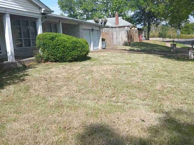 Lawn care service in , 