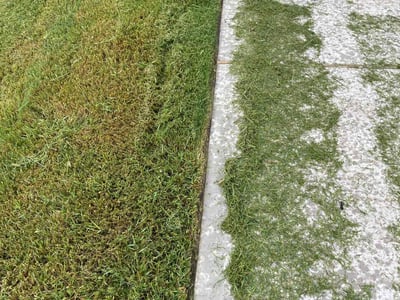 Lawn care service in Manvel, 77578