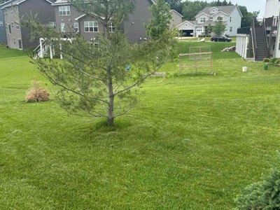 Lawn care service in Inver Grove Heights, 55077