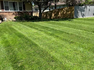 Lawn care service in Kentwood, 49508