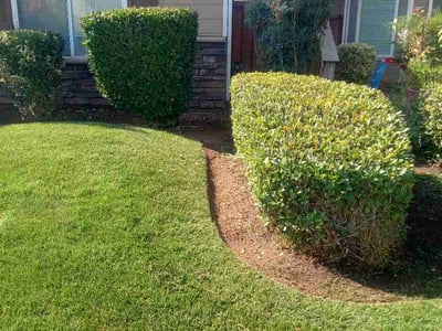 Lawn care service in Fresno, 93722